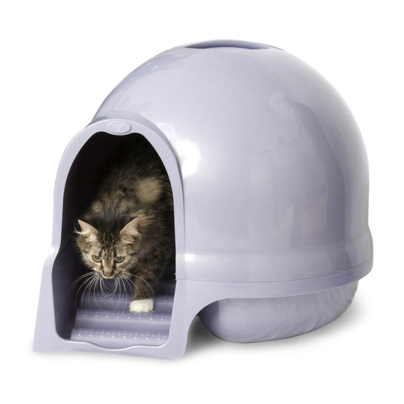Petmate Dome, Cleanstep Cat Litter Box Enclosure & Reviews Wayfair.co.uk